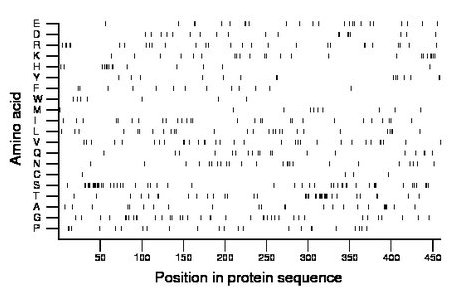 amino acid map