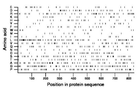 amino acid map