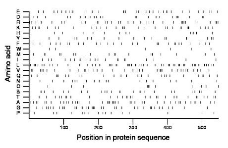 amino acid map