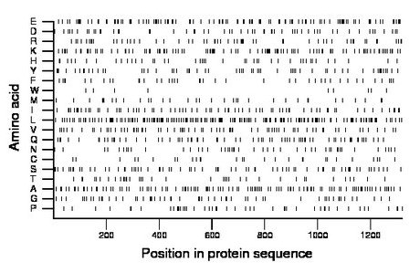 amino acid map