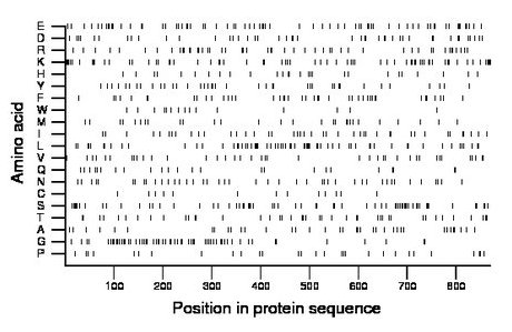 amino acid map