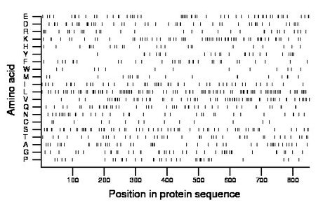 amino acid map