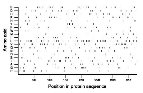 amino acid map