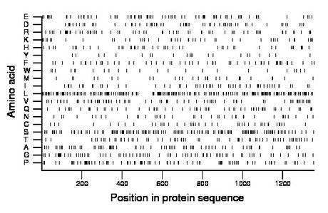 amino acid map