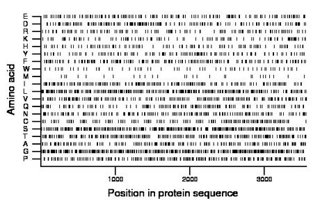 amino acid map