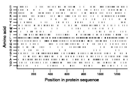 amino acid map