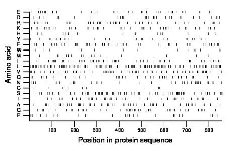 amino acid map