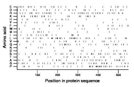 amino acid map