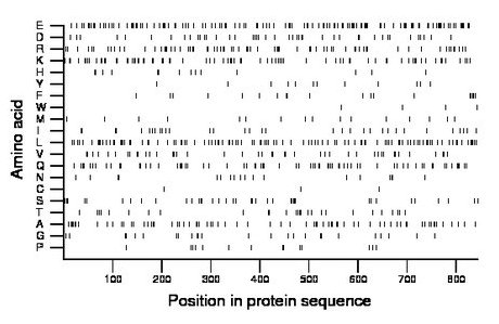 amino acid map