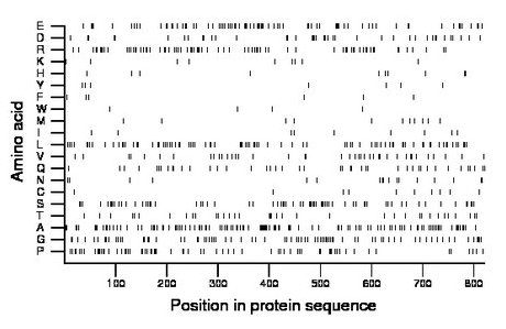 amino acid map