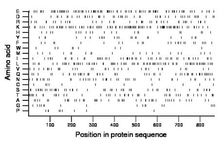 amino acid map