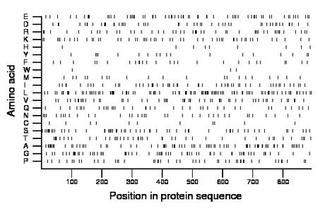 amino acid map