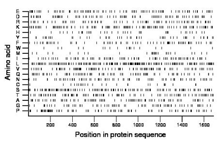 amino acid map