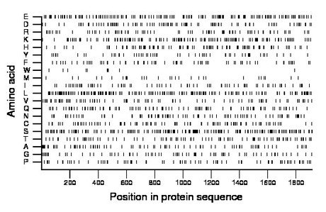 amino acid map