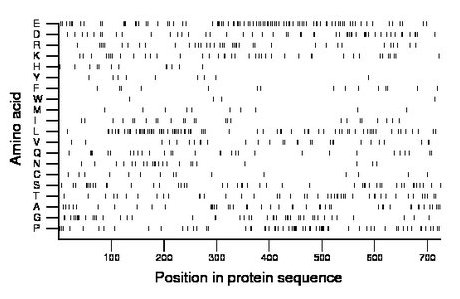 amino acid map