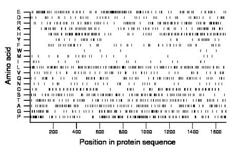 amino acid map