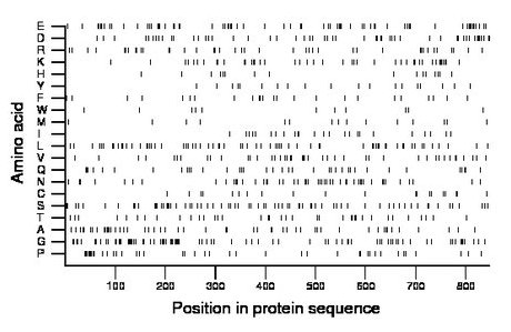 amino acid map