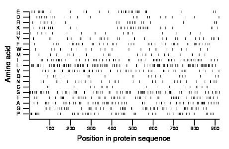 amino acid map