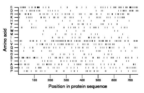 amino acid map