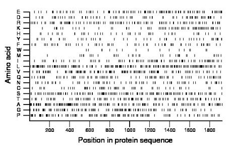 amino acid map