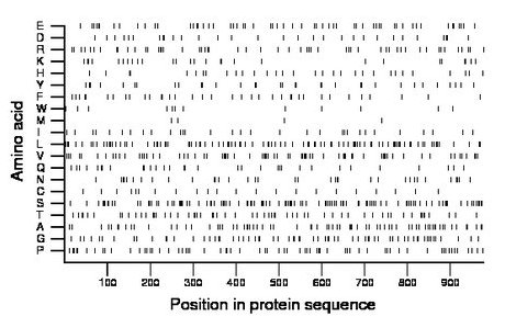 amino acid map