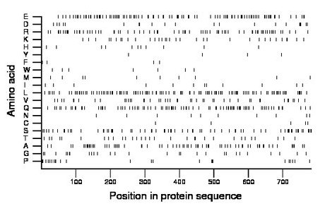 amino acid map