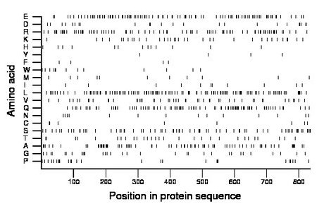 amino acid map