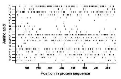 amino acid map