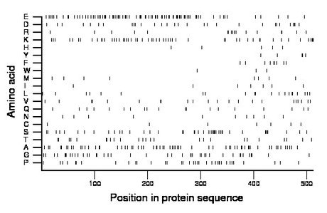 amino acid map