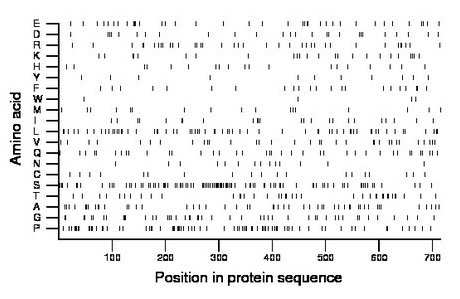 amino acid map