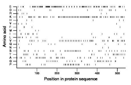 amino acid map