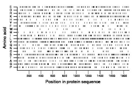 amino acid map