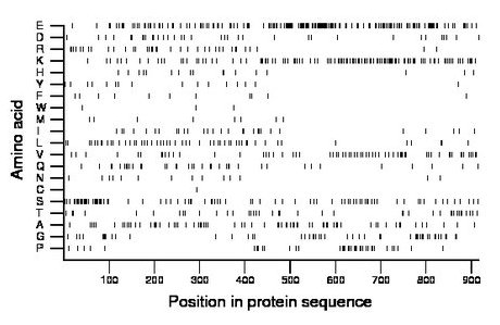 amino acid map