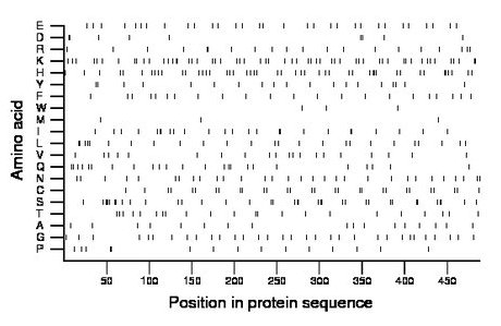 amino acid map