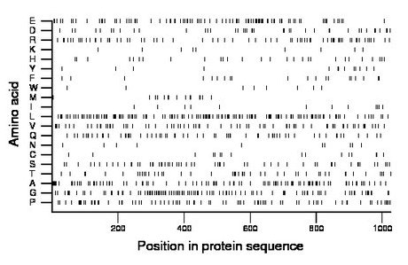 amino acid map