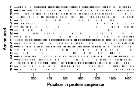 amino acid map