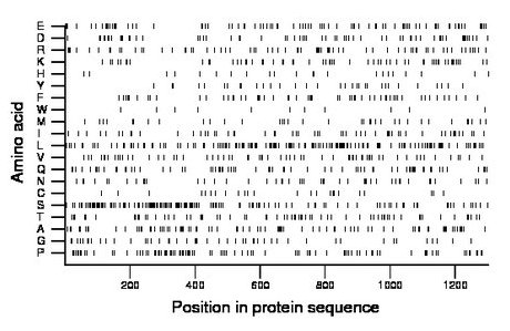 amino acid map