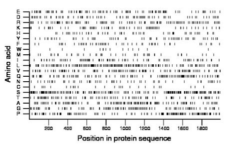 amino acid map