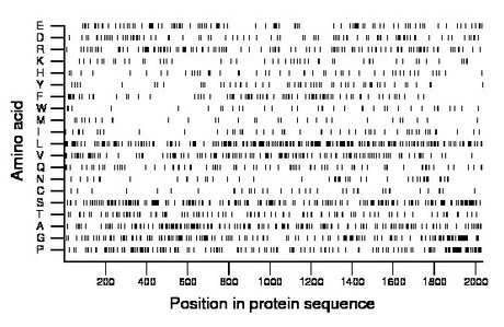 amino acid map