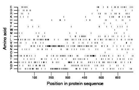 amino acid map