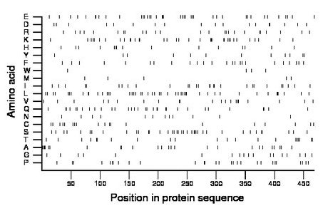 amino acid map