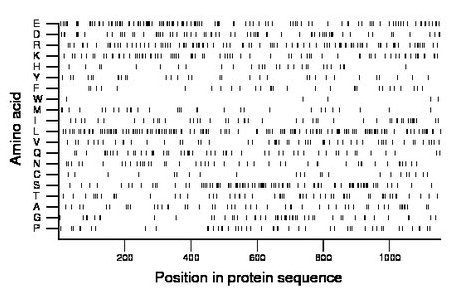 amino acid map