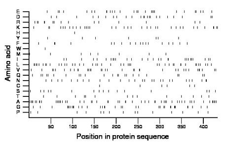 amino acid map