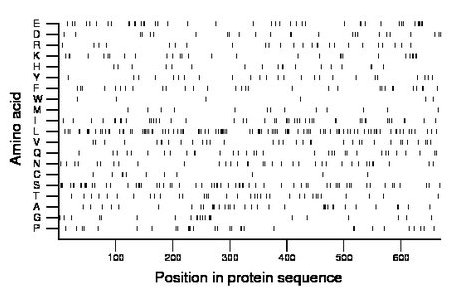 amino acid map