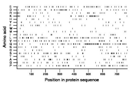 amino acid map