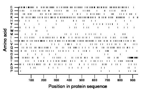 amino acid map