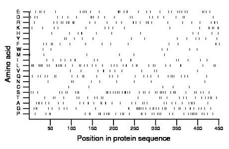 amino acid map