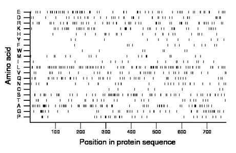 amino acid map