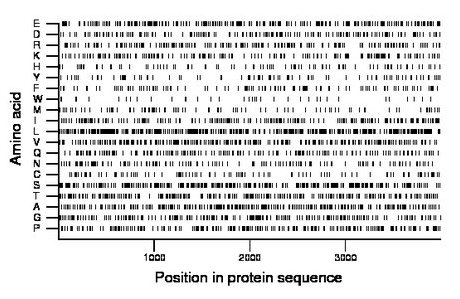 amino acid map