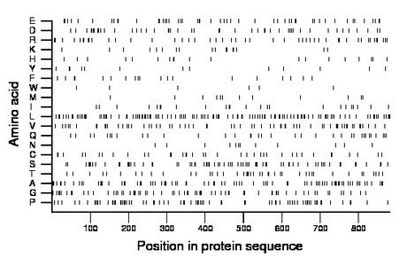 amino acid map